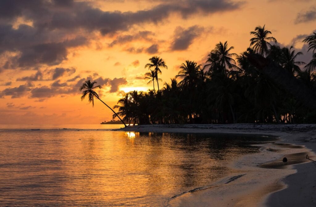 Into the Panama