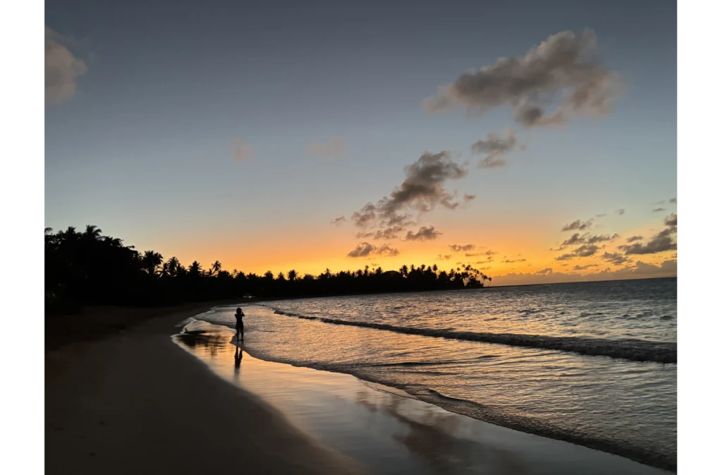 TERRA Dominicana, notre nouvelle agence locale en République dominicaine!