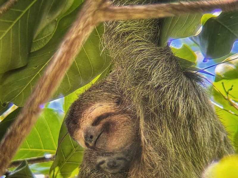 FB_IMG_1708836255841 (1)