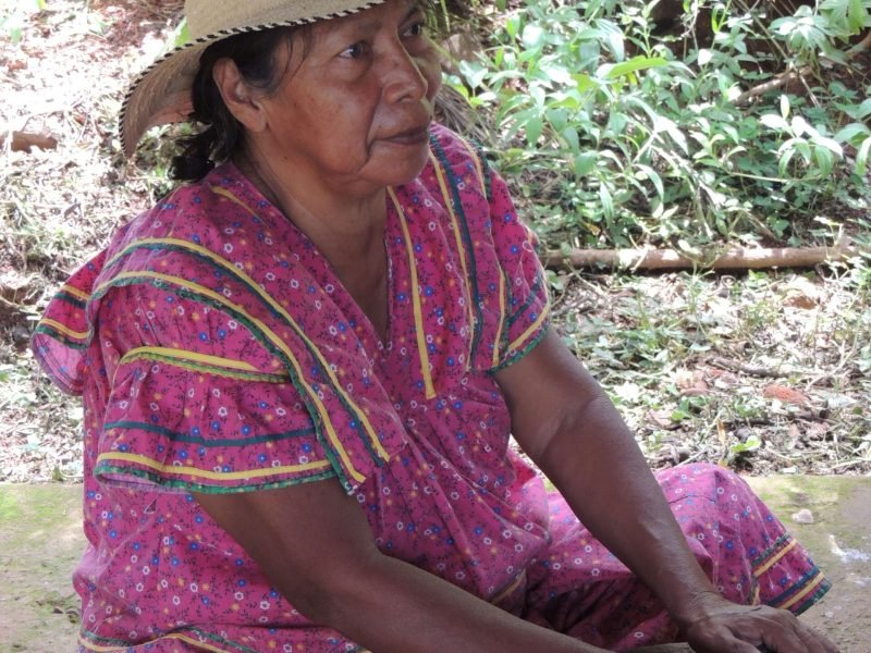 Ngabe Bugle -TERRA Panama