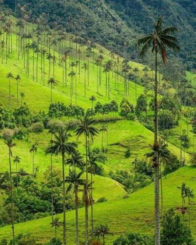 agence-colombie-14 agence-colombie-14